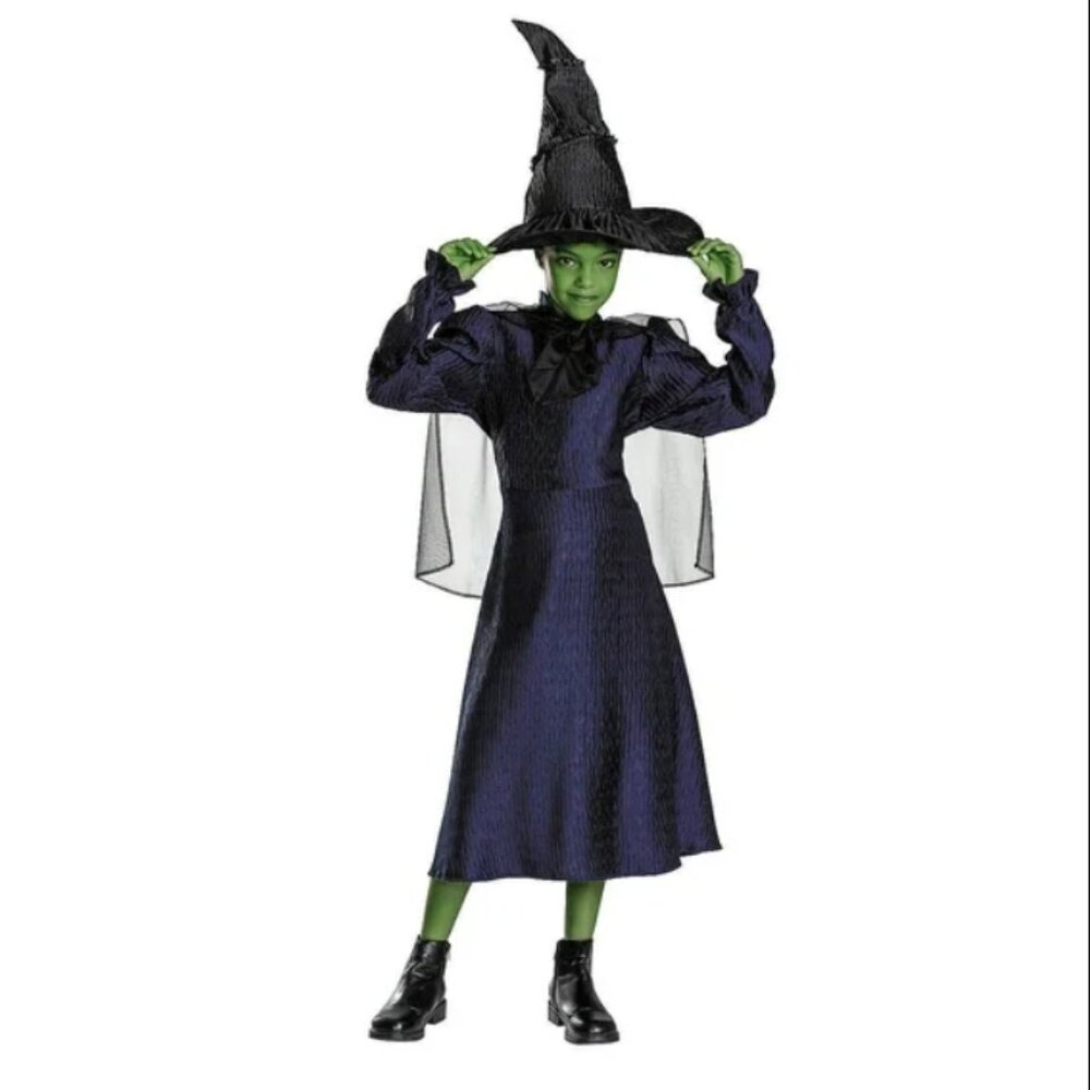 Girls Wicked Elphaba Witch 3T/4T Halloween Costume Black Purple Dress, Cape, Hat
